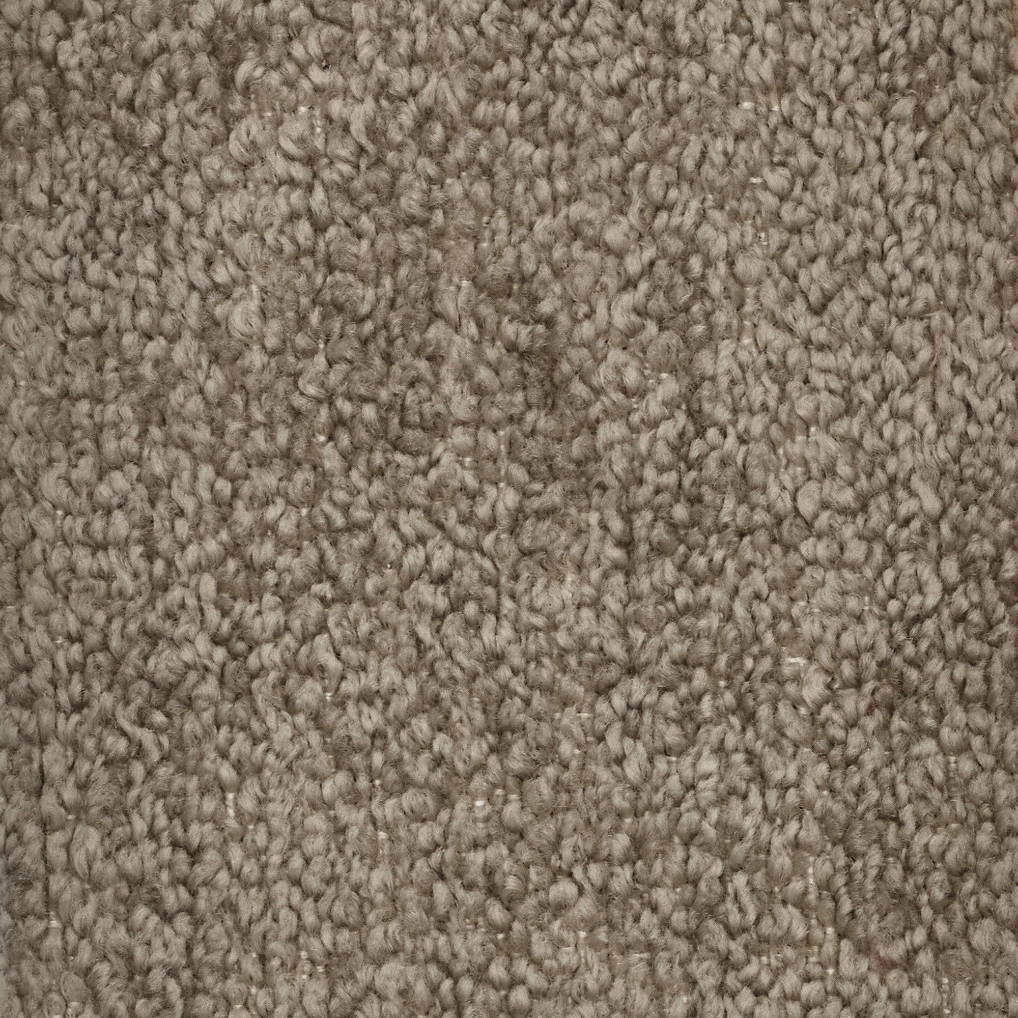 T21 Favola morbido ed elegante Bouclé con trattamento impermeabile e Smacchiabile - divani.store