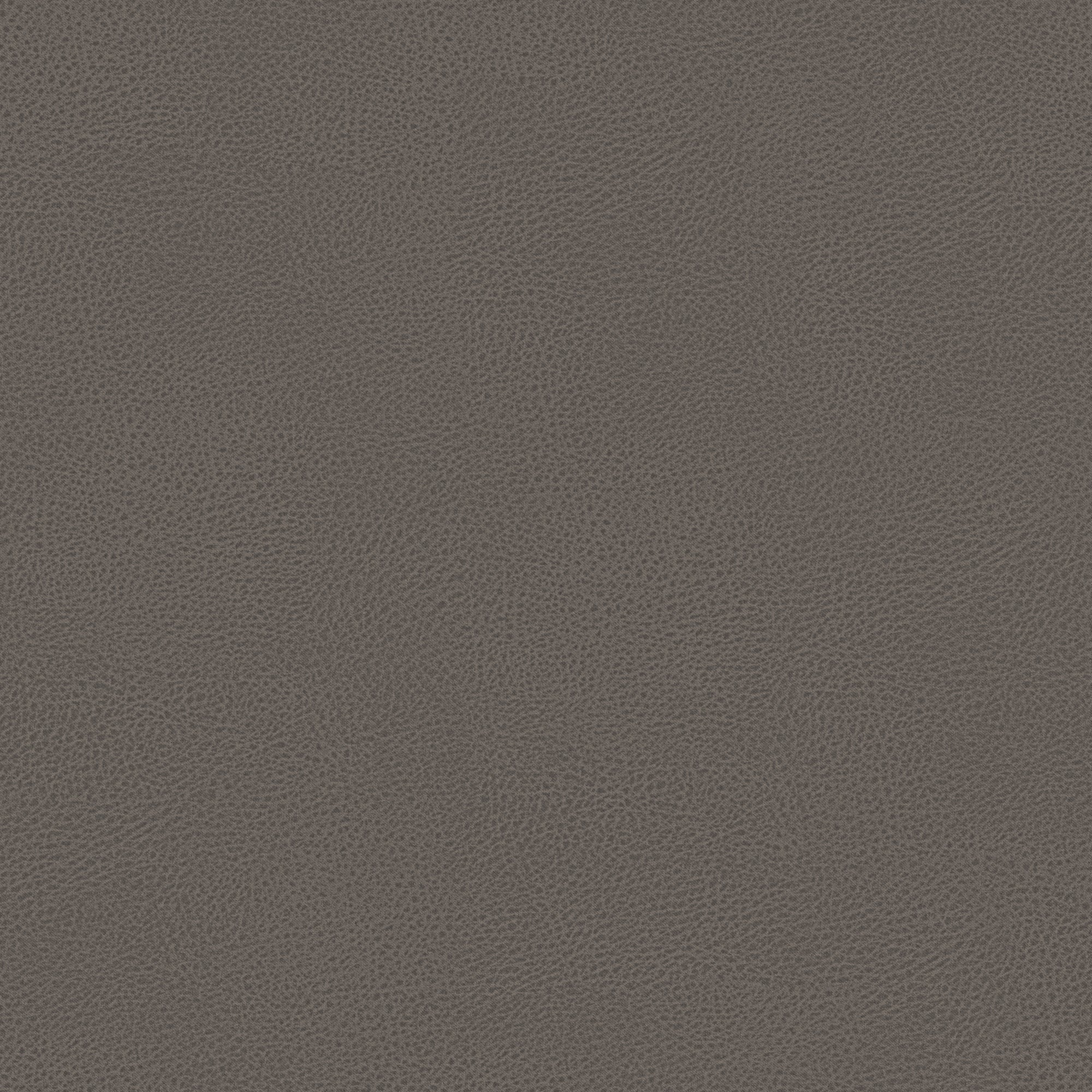 Un primo piano del letto contenitore Nina di Letti.store mostra la sua microfibra tortora con texture effetto pelle, design minimale, grana uniforme simile a quella dei sassolini e superficie facile da pulire.