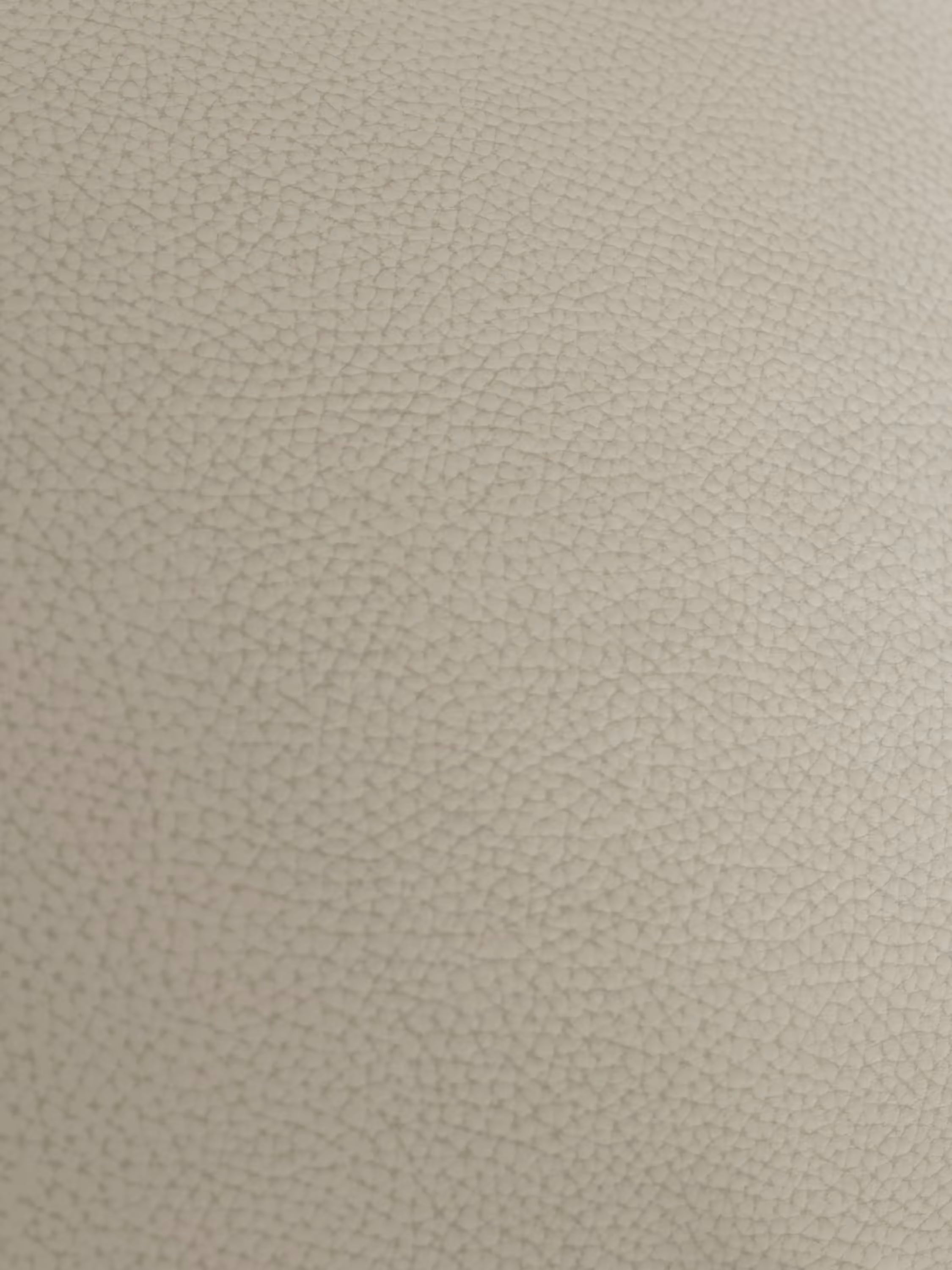 Primo piano di una superficie beige e ruvida, realizzata in vera pelle spessorata, che richiama il lussuoso rivestimento del modello Chester – Divano Chesterfield in vera pelle spessorata a 2 e 3 posti di Divani.Store. La superficie presenta una raffinata trama granulosa con piccole protuberanze irregolari e una finitura morbida e opaca. Anche una luce soffusa mette in risalto le ombreggiature sottili che accentuano la ricca trama.