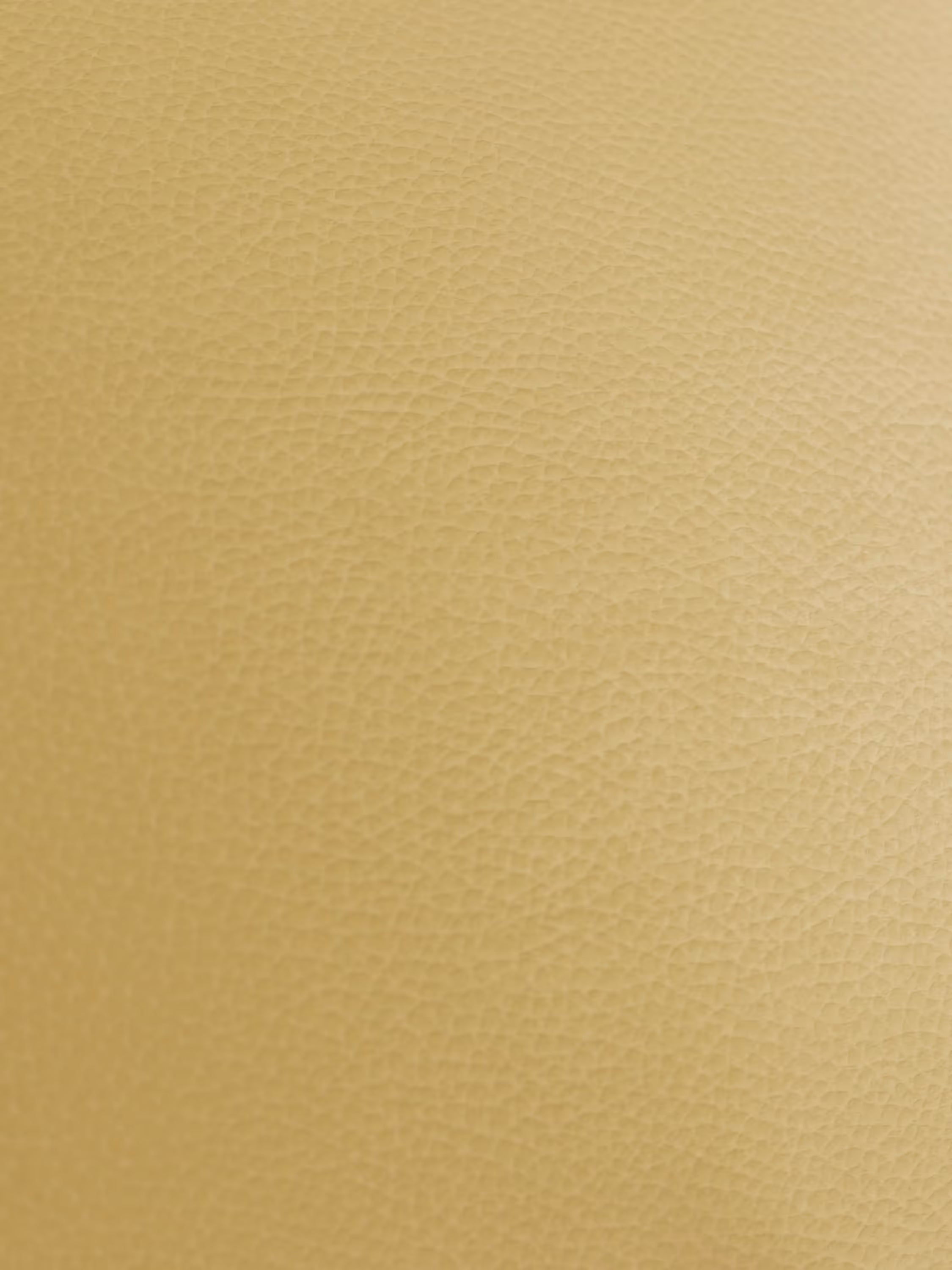 Primo piano di una superficie ruvida, di colore beige chiaro, simile alla pelle o all’ecopelle, che richiama l’eccezionale maestria artigianale del modello Chester – Divano Chesterfield in vera pelle spessorata a 2 e 3 posti di Divani.Store. La grana fine e omogenea conferisce all’insieme un aspetto leggermente granuloso, con un colore uniforme e caldo che esalta l’aspetto e la sensazione di lusso tipici degli autentici divani di produzione italiana in vera pelle spessorata.