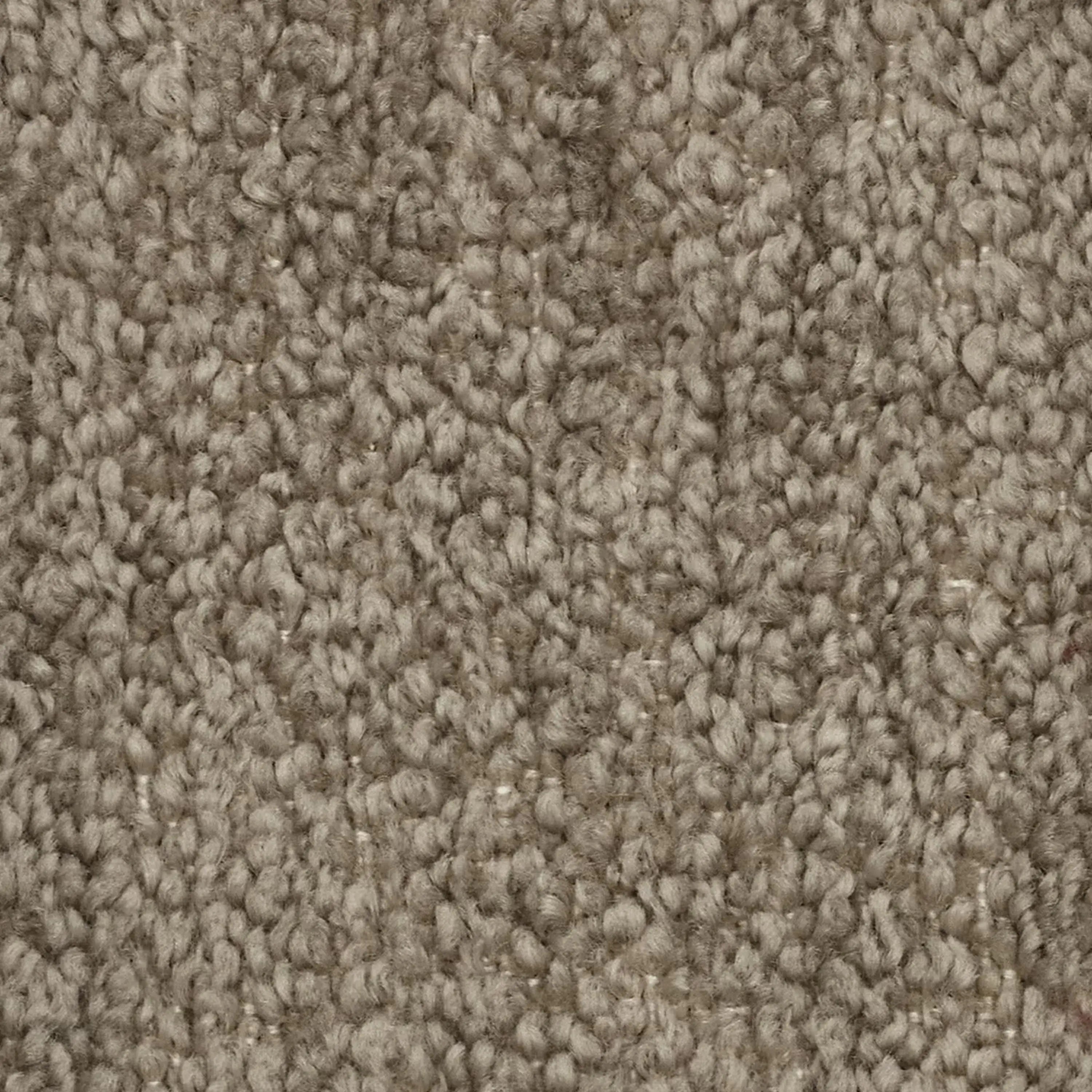 MOSAIC T21 TORTORA -