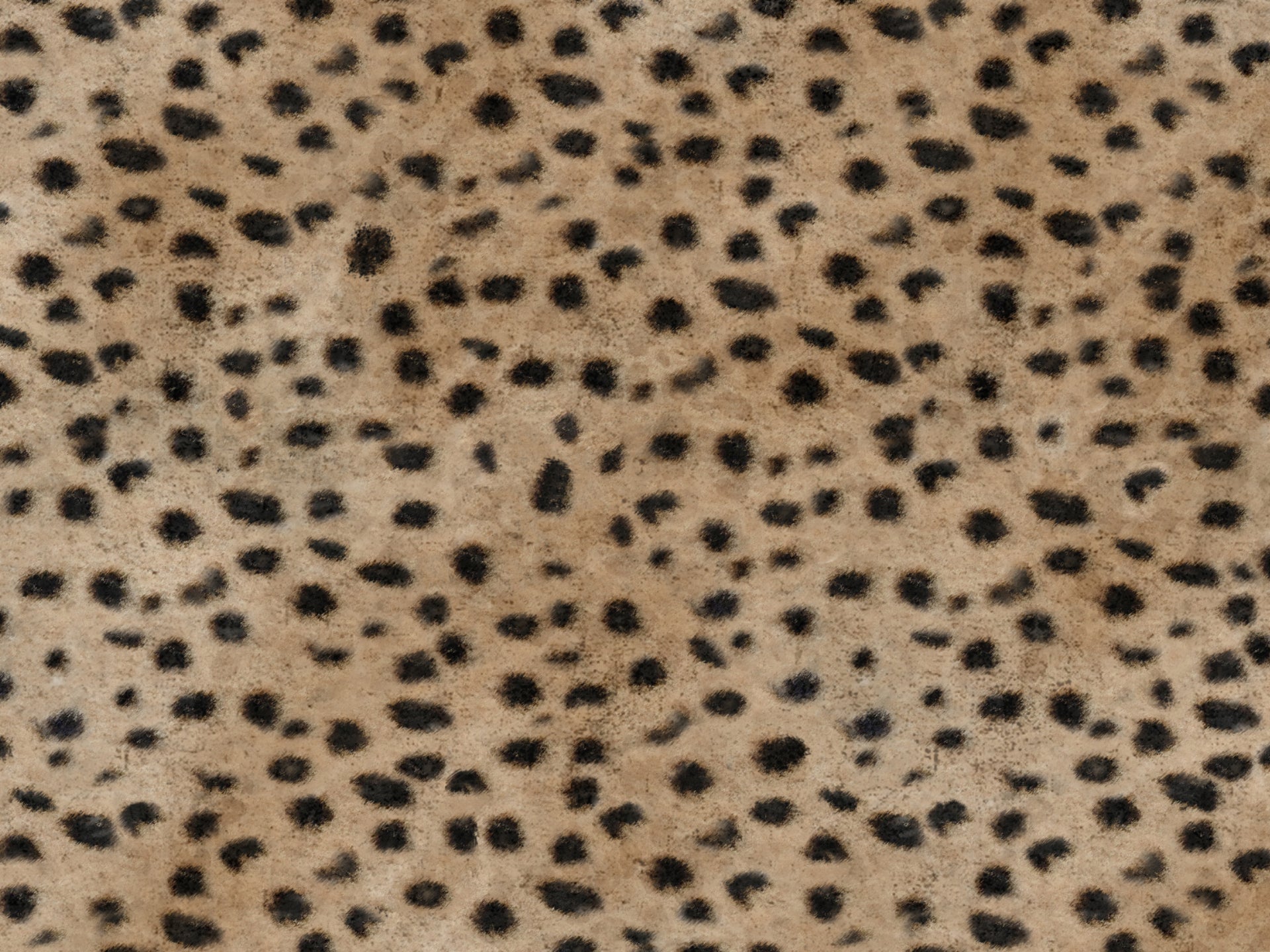 Wild cuscino in collezione Wild in microfibra impermeabile - divani.store