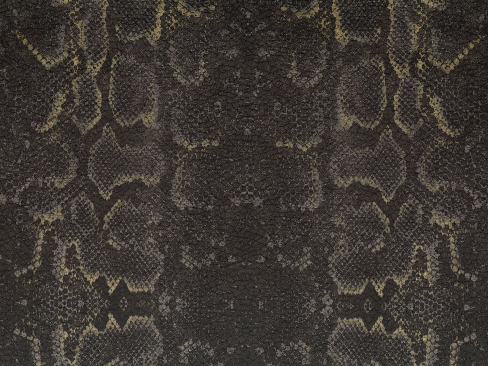 Wild cuscino in collezione Wild in microfibra impermeabile - divani.store