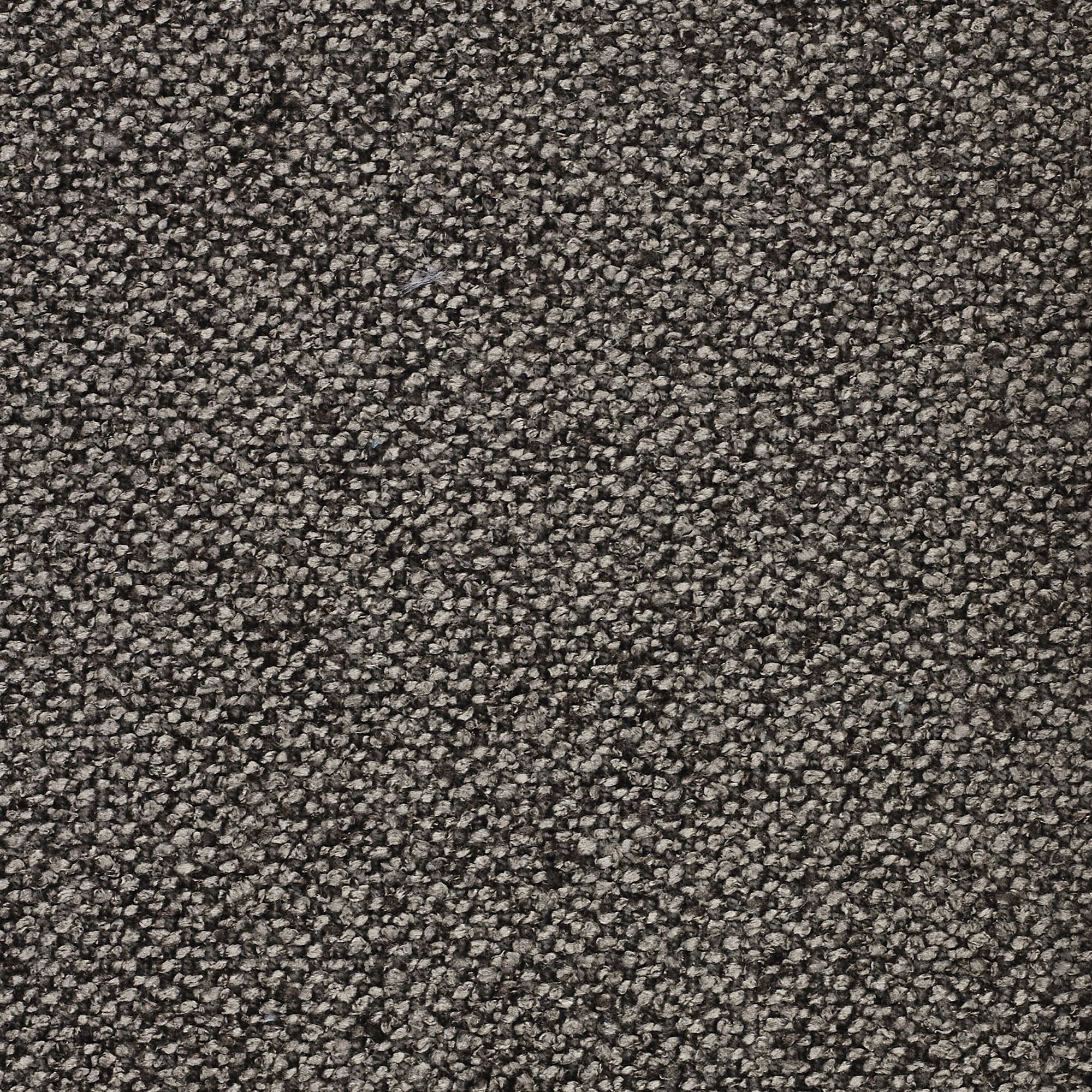 Vista ravvicinata di Personalizzazione in T33 di Divani.Store, un tappeto a pelo lungo in grigio scuro e nero. Le fibre a trama fitta formano un motivo fitto e maculato per una texture uniforme e leggermente ruvida. Non sono presenti altri oggetti o colori.