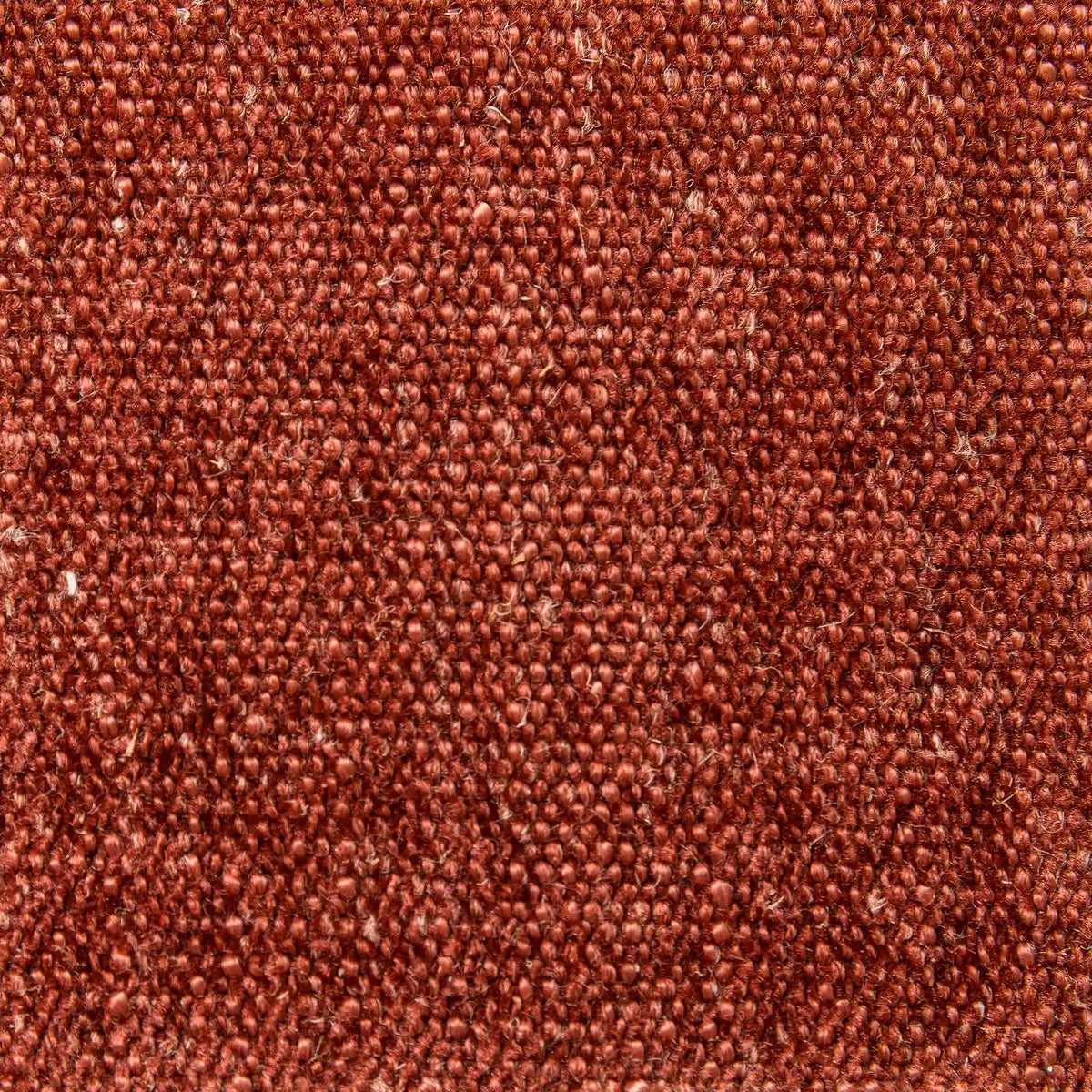 Un primo piano del tessuto “Personalizzazione” della linea T36 APOLLO, caratterizzato da una trama fitta in un intenso colore arancione bruciato, con piccoli nodi visibili e una finitura leggermente irregolare e rustica.