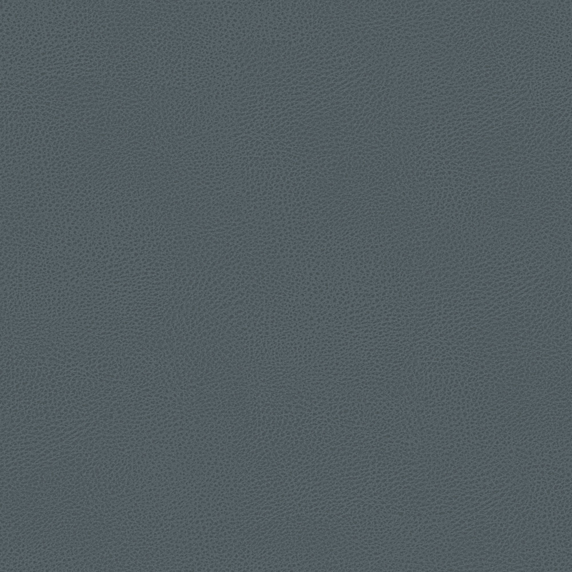 Ispirato al design italiano, il letto contenitore Nina di Letti.store è caratterizzato da una microfibra carta da zucchero opaca con una sottile grana effetto pelle, morbida, senza cuciture e raffinata per un look minimal ed elegante.