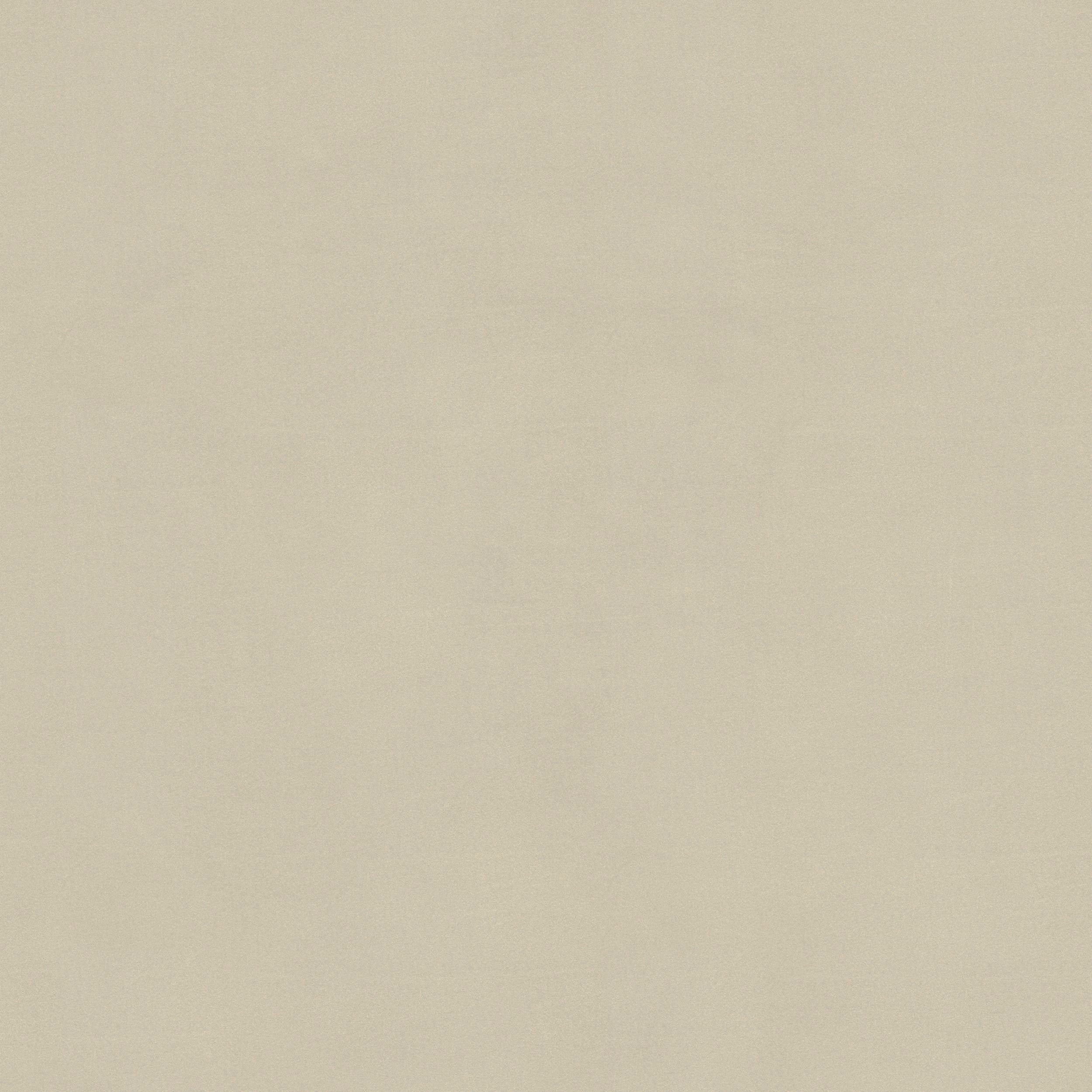 Uno sfondo beige chiaro, strutturato in tessuto, evoca la morbidezza del divano Raffaello con sedute allungabili e poggiatesta reclinabili in microfibra smacchiabile T11 panna di Divani.Store, ideale come sfondo o carta da parati sottile e minimalista.