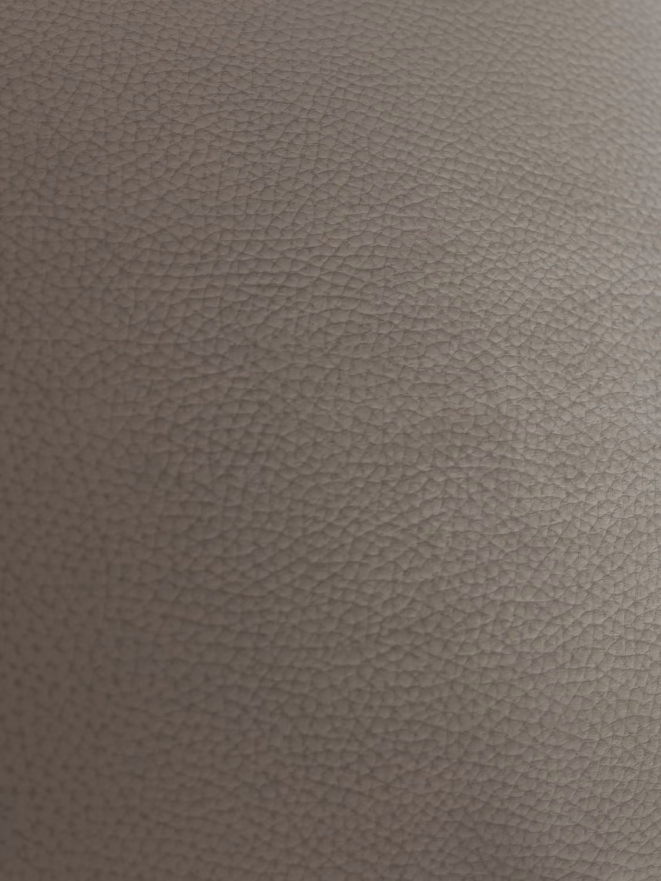 Primo piano di una superficie marrone con texture, probabilmente la pregiata pelle spessorata utilizzata per il modello Chester – Divano Chesterfield in vera pelle spessorata a 2 e 3 posti di Divani.Store. Il materiale presenta una grana fine e granulosa con sfumature di luci e ombre, che gli conferiscono un aspetto morbido e naturale, tipico dell’arredamento di alta qualità Made in Italy. Non sono presenti cuciture visibili, motivi o elementi aggiuntivi.