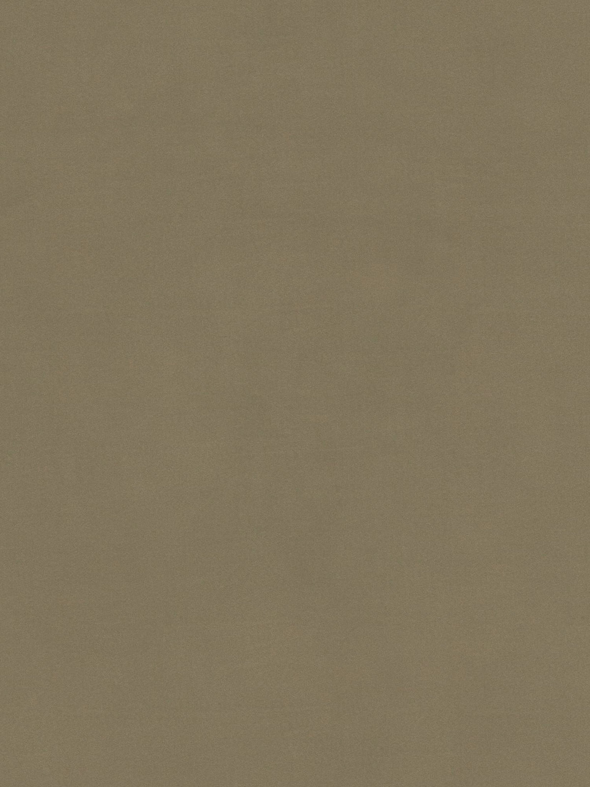 Sfondo a tinta unita e con texture in una tonalità di marrone tenue, che richiama l’eleganza raffinata del divano Eclipse, dal design moderno, di Divani.Store. La superficie — che ricorda il rivestimento in microfibra T11 lavabile di alta qualità — appare morbida e dalle sfumature delicate, catturando l’essenza naturale e vellutata del tessuto spazzolato che caratterizza questo divano contemporaneo a 2 o 3 posti con schienali scorrevoli e gambe alte. Non sono presenti motivi o forme distintive.