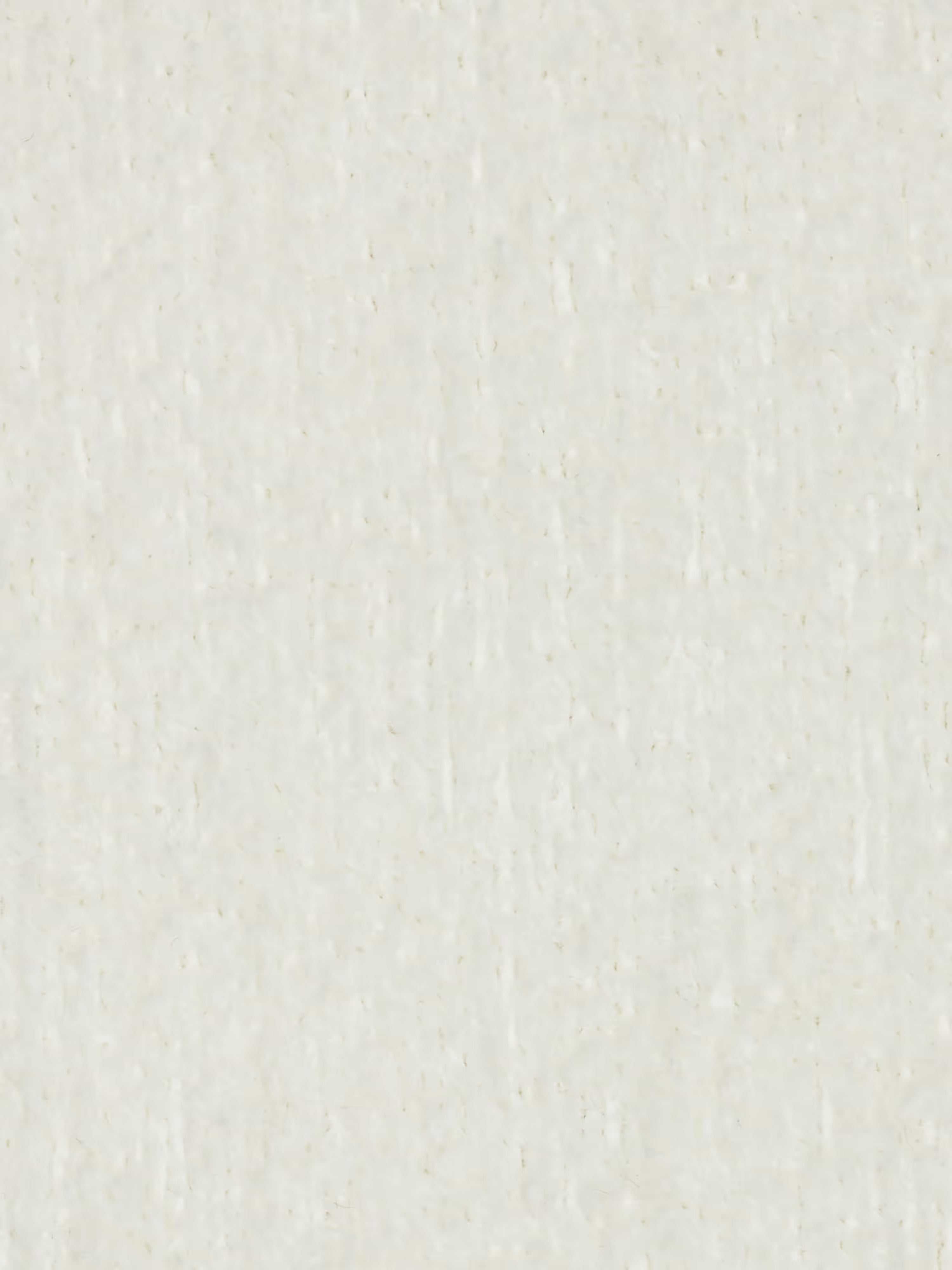 Un primo piano della poltrona Modulo 77 cm in bouclé di Divani.Store rivela una superficie bianco sporco dalla trama ricca, con sottili motivi delle fibre e lievi variazioni di colore. Il tessuto smacchiabile T21 presenta una morbida finitura capitonné, che conferisce un aspetto naturale e organico che trasuda raffinata eleganza, caratteristica del design di alta gamma delle poltrone. Non sono visibili oggetti o segni distintivi.