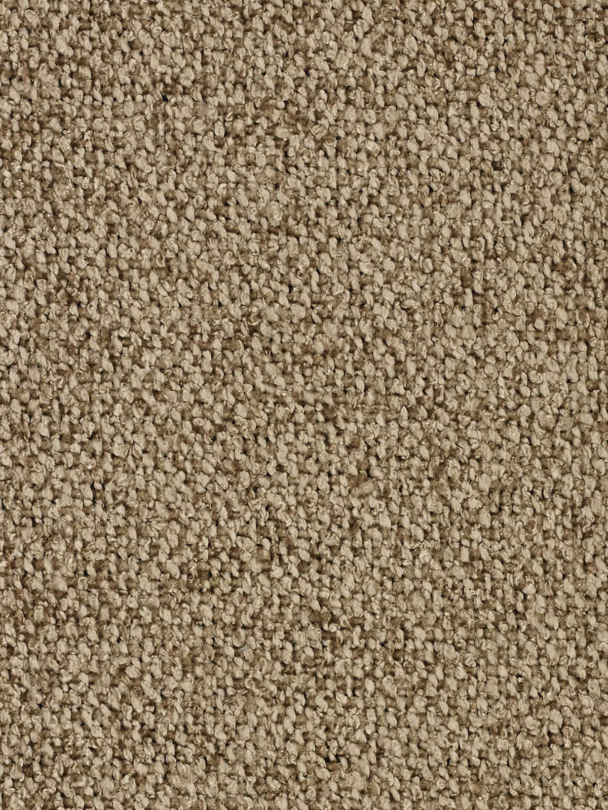 Nimbus 3-Sitzer-Sofa, modular und kombinierbar 250 cm – abziehbar in fleckenabweisendem Stoff in Baumwolloptik t33