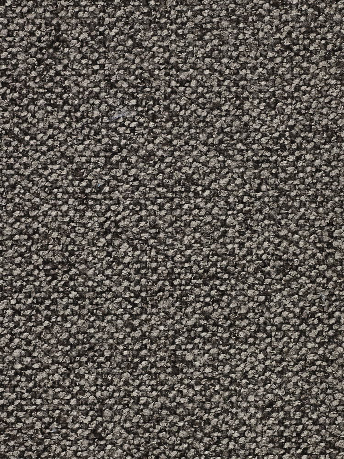 Primo piano della trama di un tappeto grigio scuro a riccioli fitti. La superficie presenta un motivo denso e uniforme di piccole fibre, che crea un effetto morbido ma leggermente strutturato con sottili variazioni di sfumatura su tutta la superficie: un abbinamento ideale per il divano angolare panoramico componibile con penisola e angolo in tessuto smacchiabile T33 della linea Nimbus di Divani.Store.