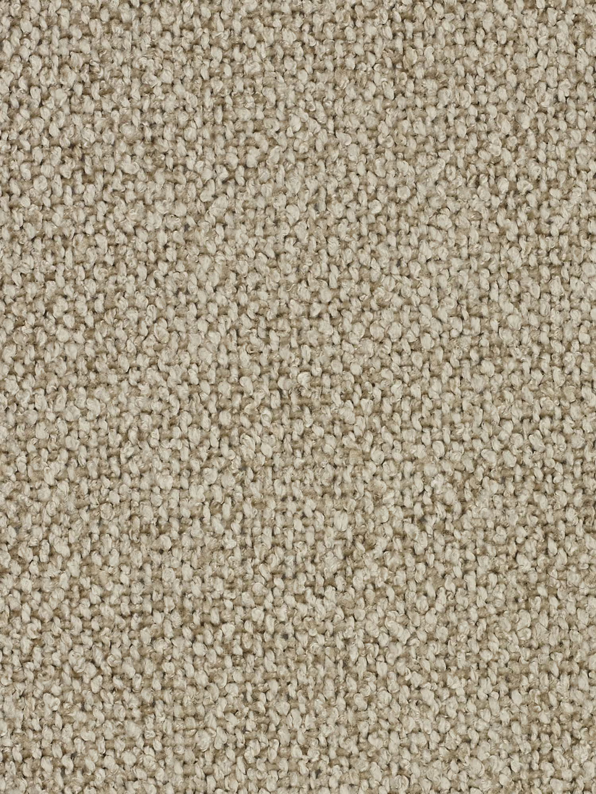Primo piano di una moquette beige dalla trama ruvida, con fibre a riccioli stretti che formano un motivo denso e uniforme. Il colore neutro conferisce un aspetto morbido e accogliente, tipico dei pavimenti residenziali o da ufficio: una base ideale per valorizzare arredi sofisticati come il divano angolare panoramico componibile con penisola e angolo in tessuto smacchiabile T33 della linea Nimbus di Divani.Store. Non sono presenti macchie né irregolarità visibili.