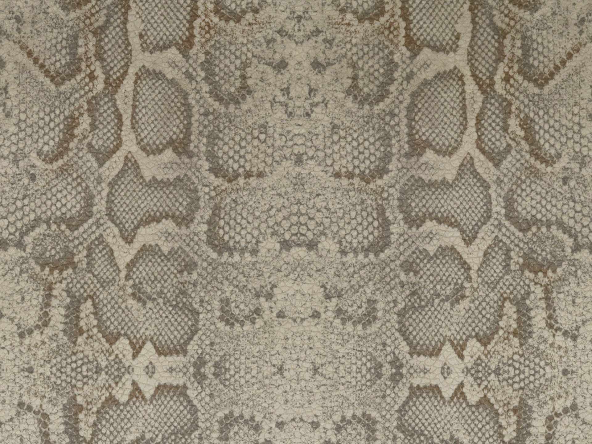 Wild cuscino in collezione Wild in microfibra impermeabile - divani.store